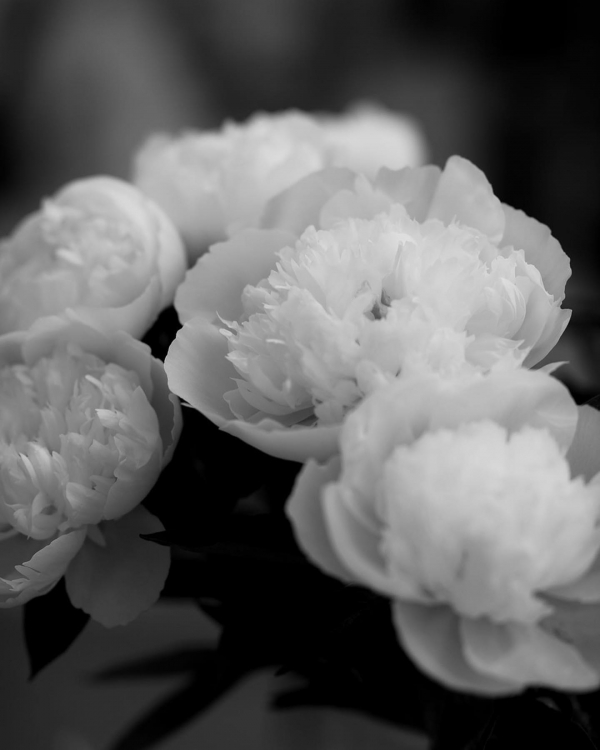 Photographers Karin Lundin