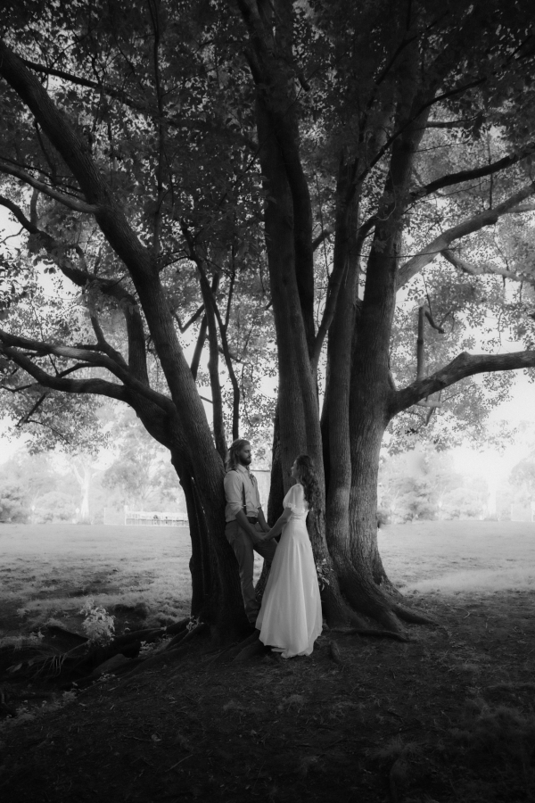 Videographers The New Old