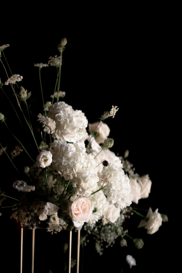 Photographers Marion Co Photography