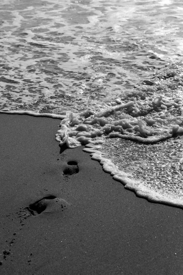 Photographers Marion Co Photography