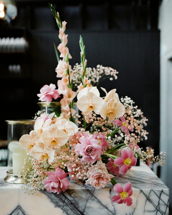 Photographers Tessa Shannon