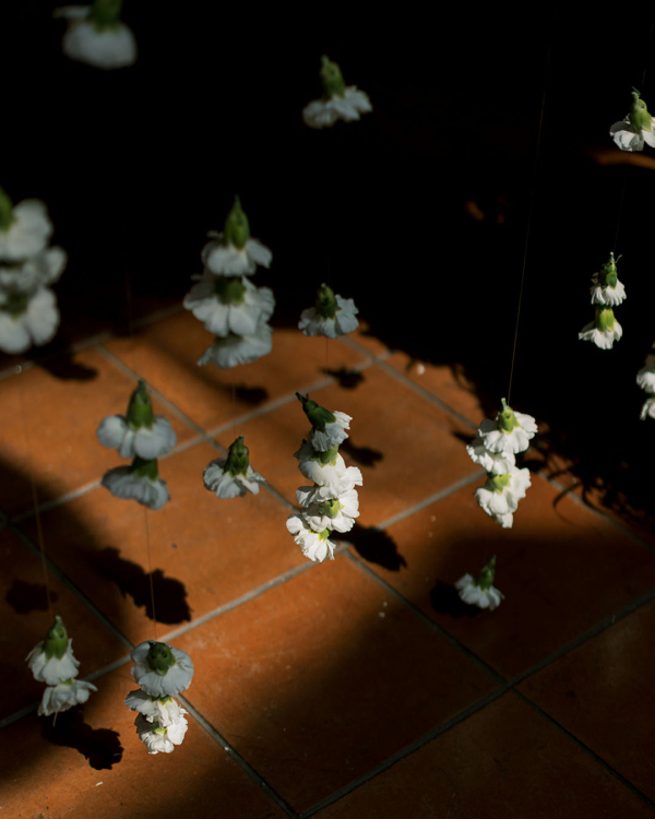 Interview with Wedding Photographer Reagan Suitt | Wedding Photography Tips and Inspiration For Photographers