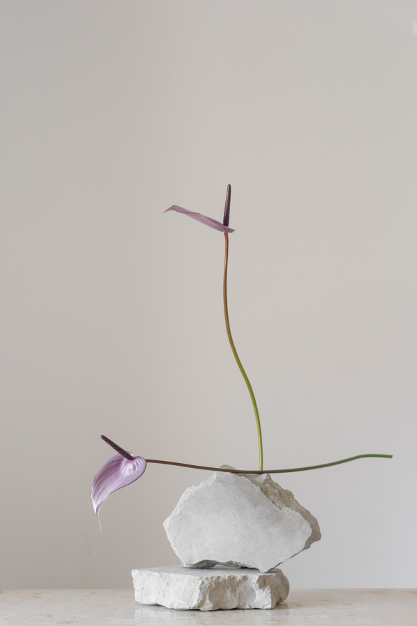 Florists Bosque Concept