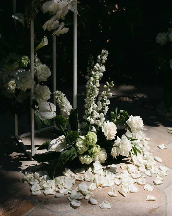 Photographers Tessa Shannon