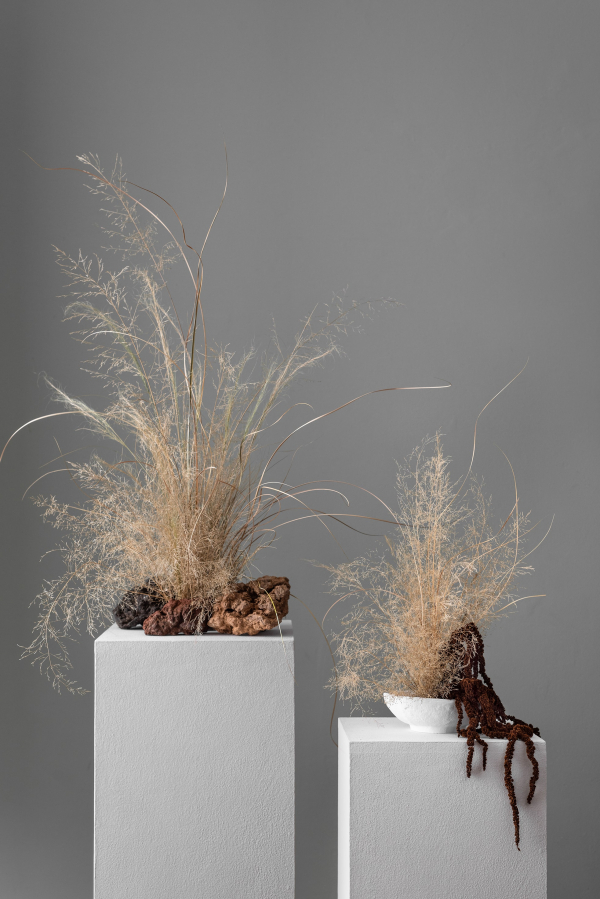 Florists Bosque Concept