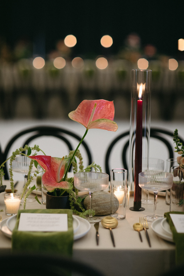 Photographers Tessa Shannon