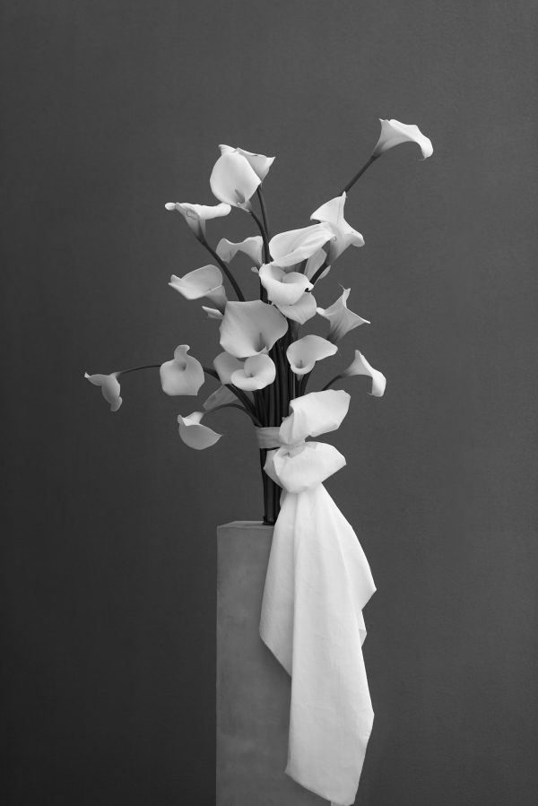 Florists Bosque Concept