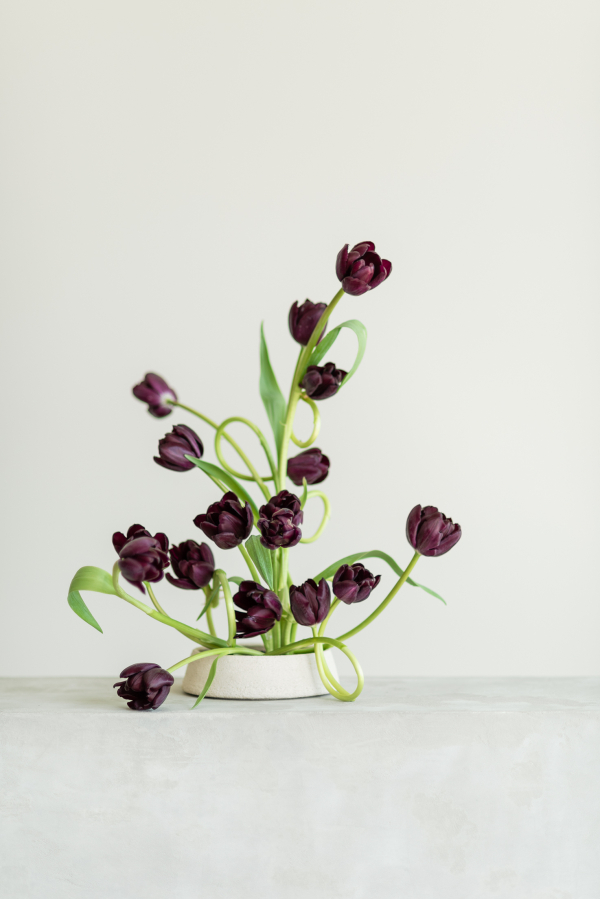 Florists Bosque Concept