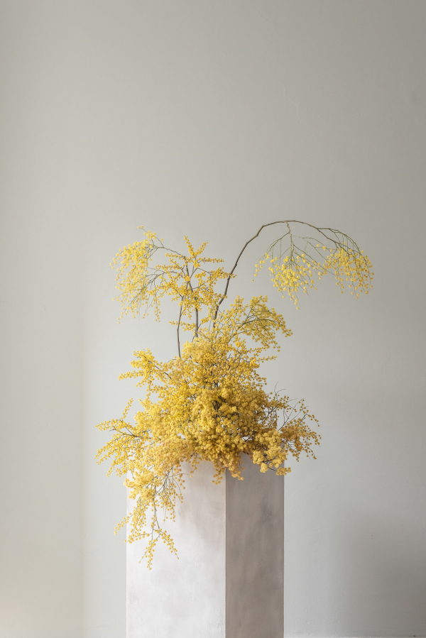 Florists Bosque Concept