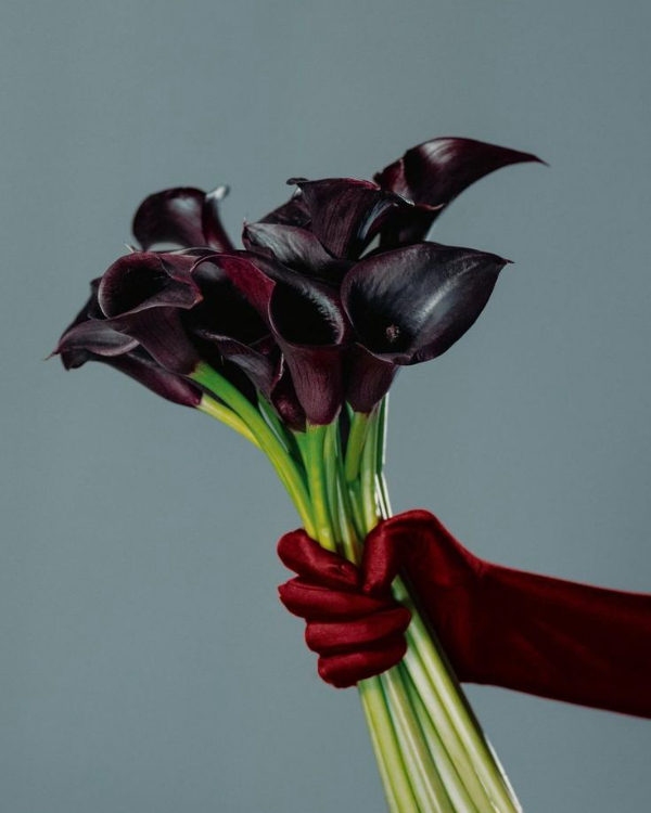 10 Flower Varieties Trending for 2025 Weddings