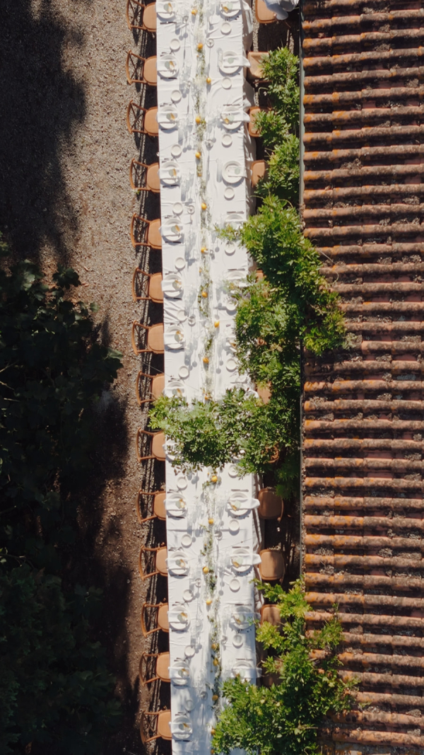 Photographers Beige and Wine