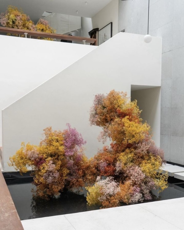 10 Flower Varieties Trending for 2025 Weddings