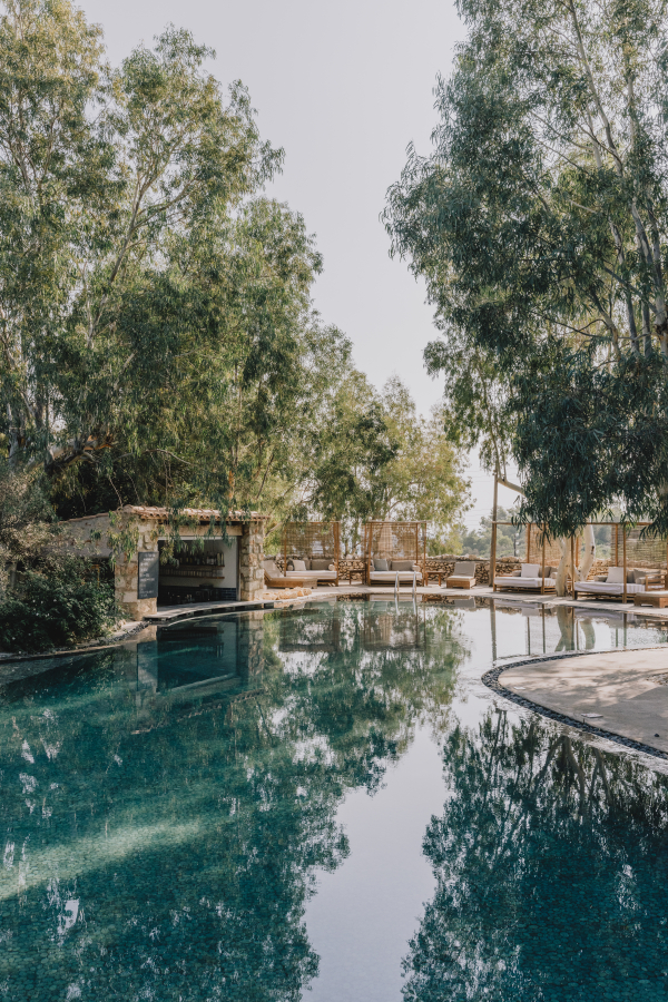 Venues The Peligoni Club