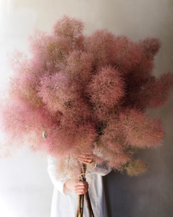 10 Flower Varieties Trending for 2025 Weddings