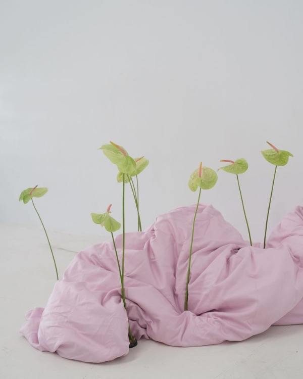 10 Flower Varieties Trending for 2025 Weddings