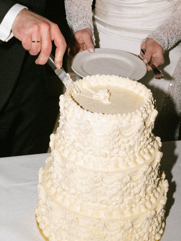 Photographers Beige and Wine