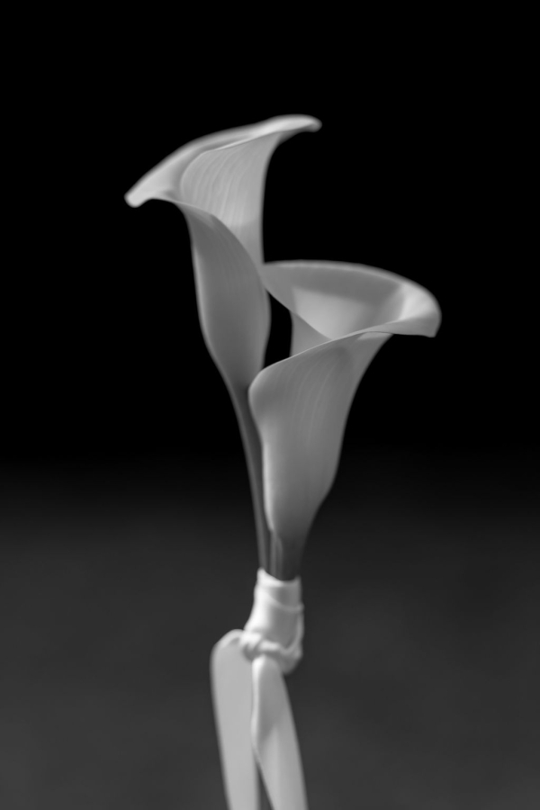 Florists Best Day Ever