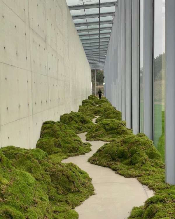 10 Flower Varieties Trending for 2025 Weddings