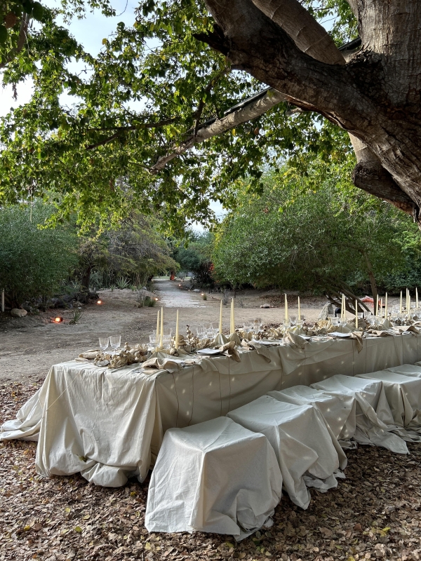 Content Creators Ever After