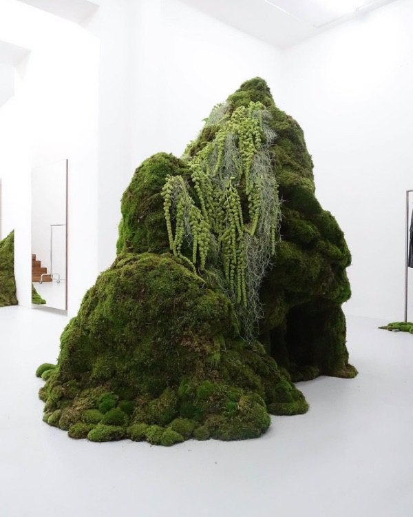 10 Flower Varieties Trending for 2025 Weddings