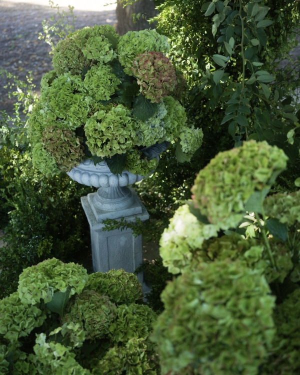 An Intimate & Enchanting Wedding Amongst the Rutherglen Vineyards