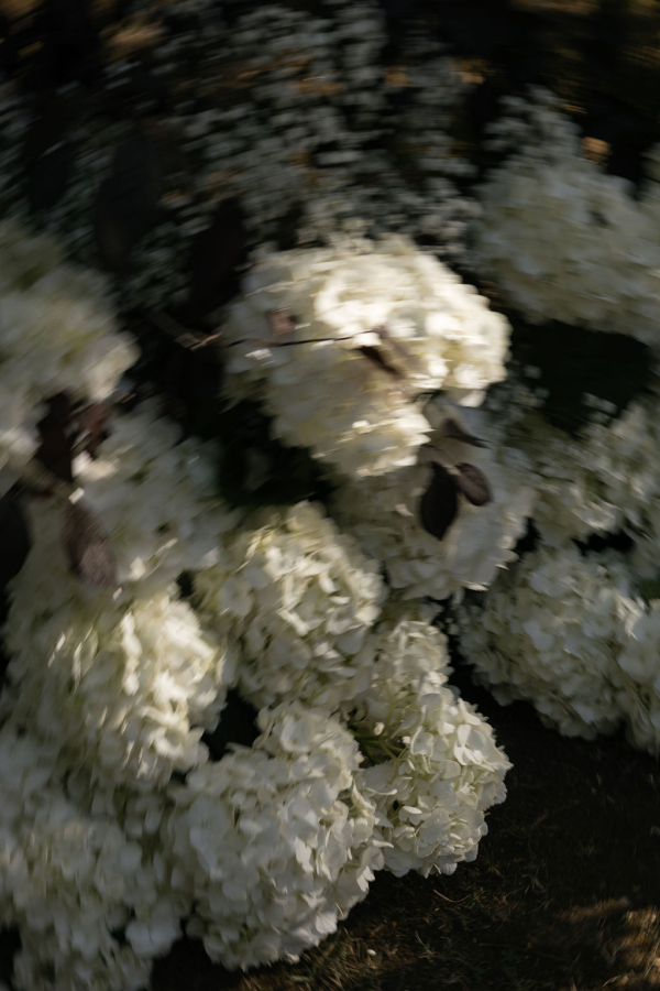 Florists Best Day Ever