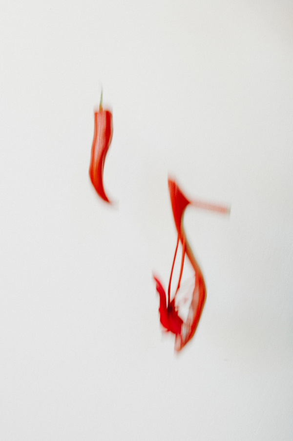 Planners Open the Door Events