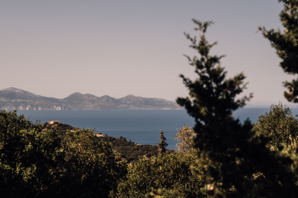 Venues The Peligoni Club