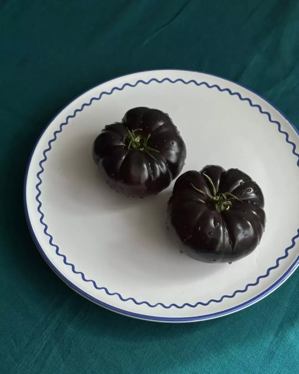 13 Unique Artisanal Tableware Brands to Know