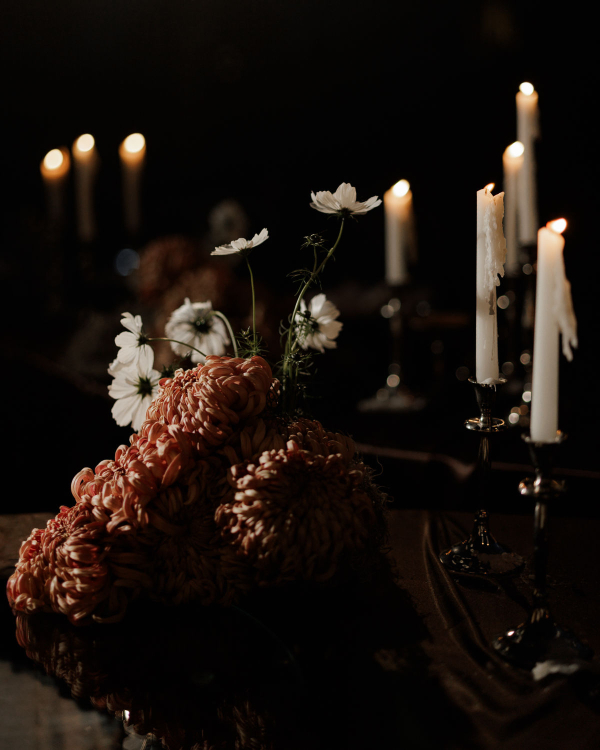 Of Roots and Feathers