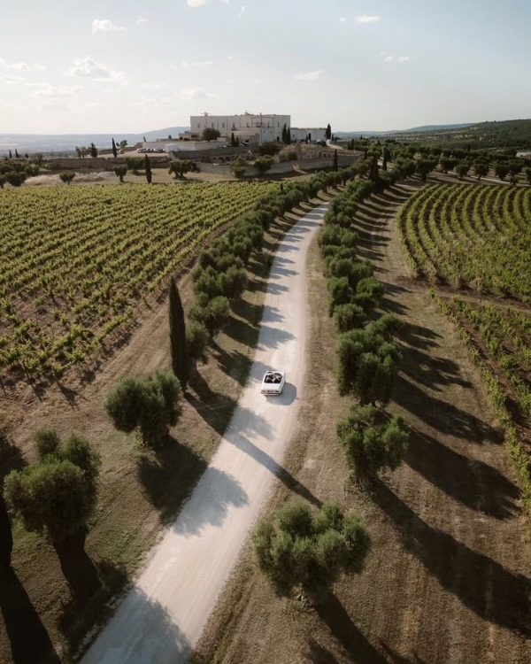 10 Dreamy Vineyard Wedding Venues in Italy for an Unforgettable Celebration