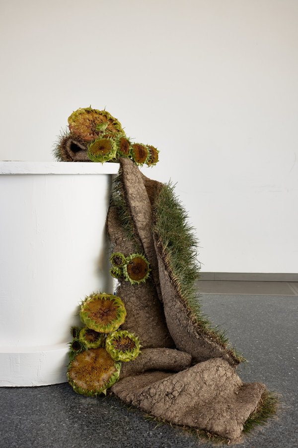 Photographers Calenrose