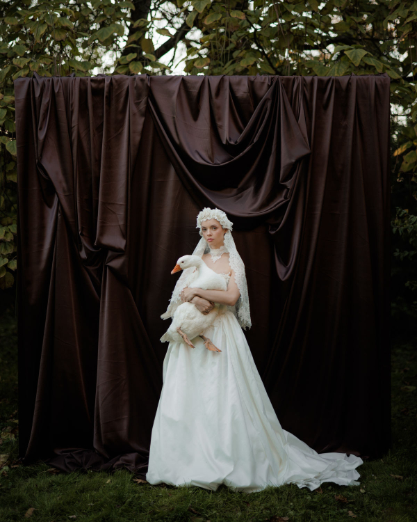 Of Roots and Feathers