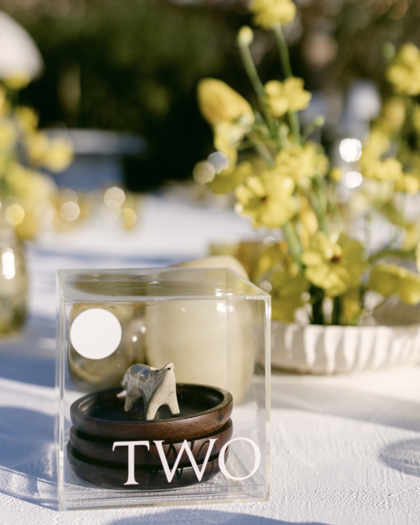 A Celestial-Inspired Welcome Party under a Lunar Eclipse in Cabo