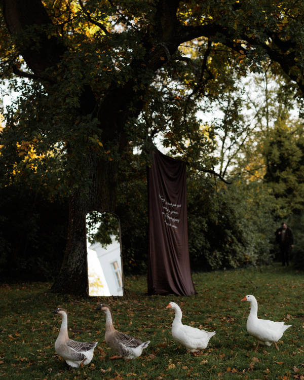 Of Roots and Feathers