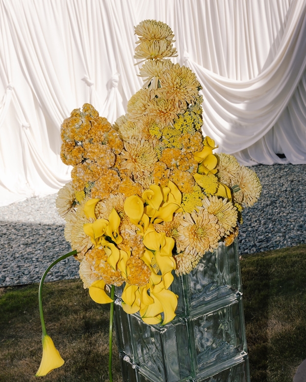 Scarlet and Clean Lines