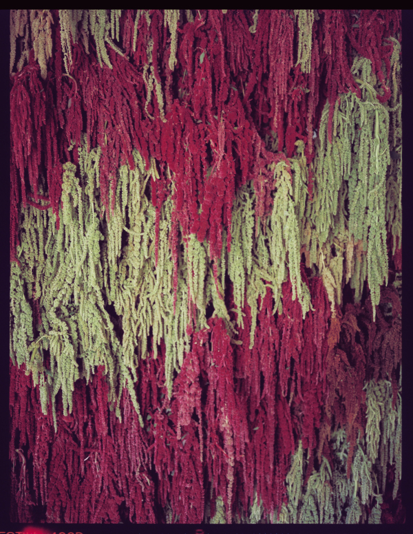 Planners Kiran + Leigh