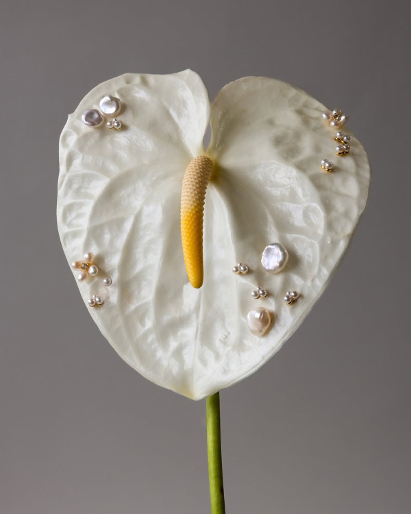 10 Flower Varieties Trending for 2026 Weddings