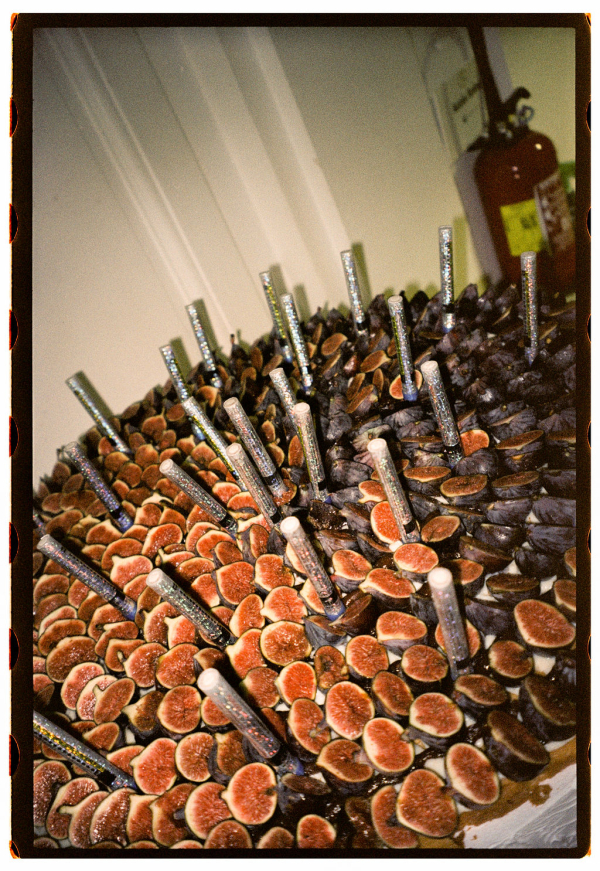 Photographers Coucou Studio