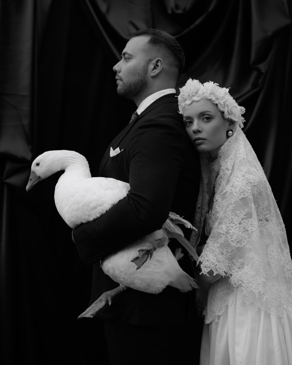 Of Roots and Feathers