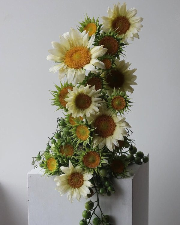 10 Flower Varieties Trending for 2026 Weddings