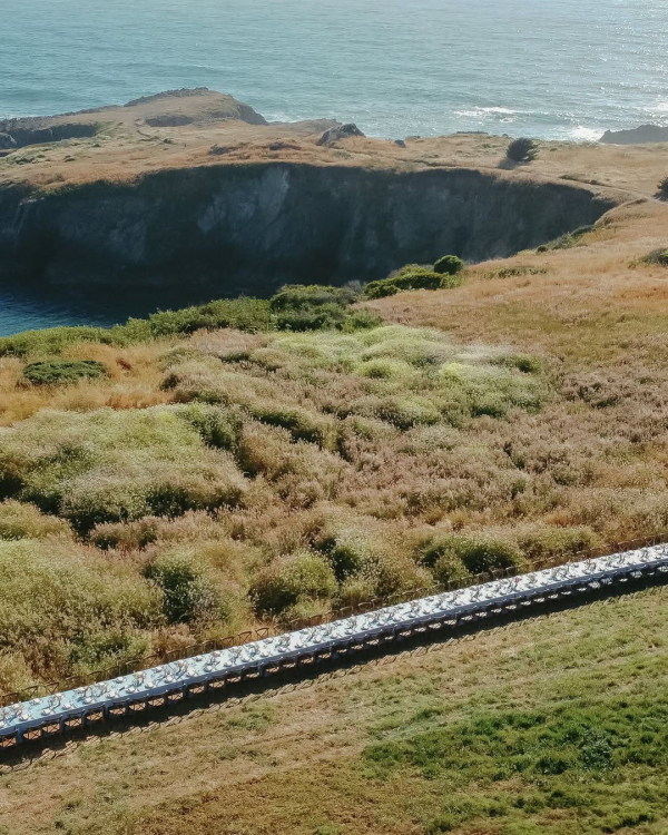 9 Major Wedding Venue Trends for 2026