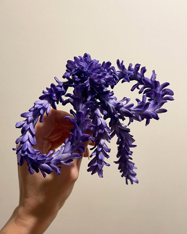 10 Flower Varieties Trending for 2026 Weddings