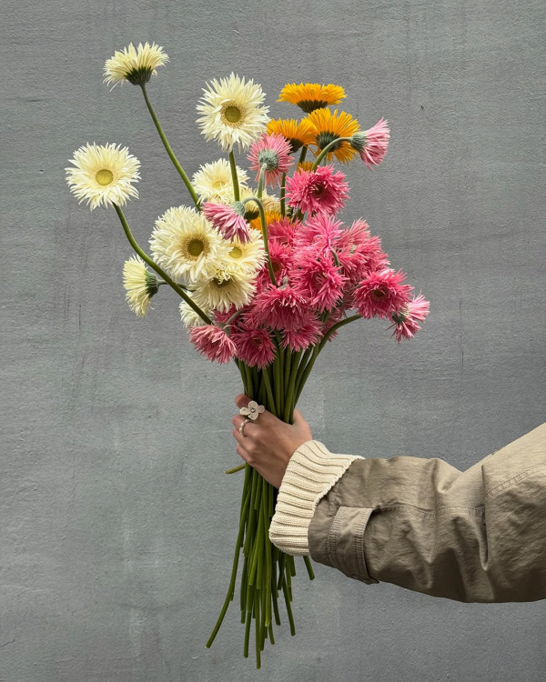 10 Flower Varieties Trending for 2026 Weddings