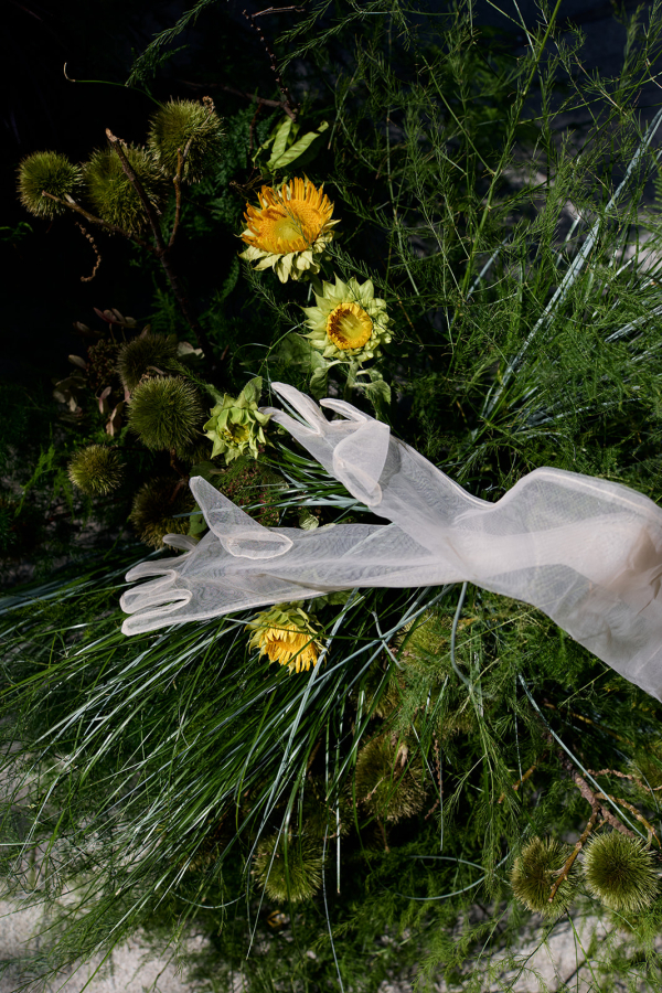 Photographers Calenrose