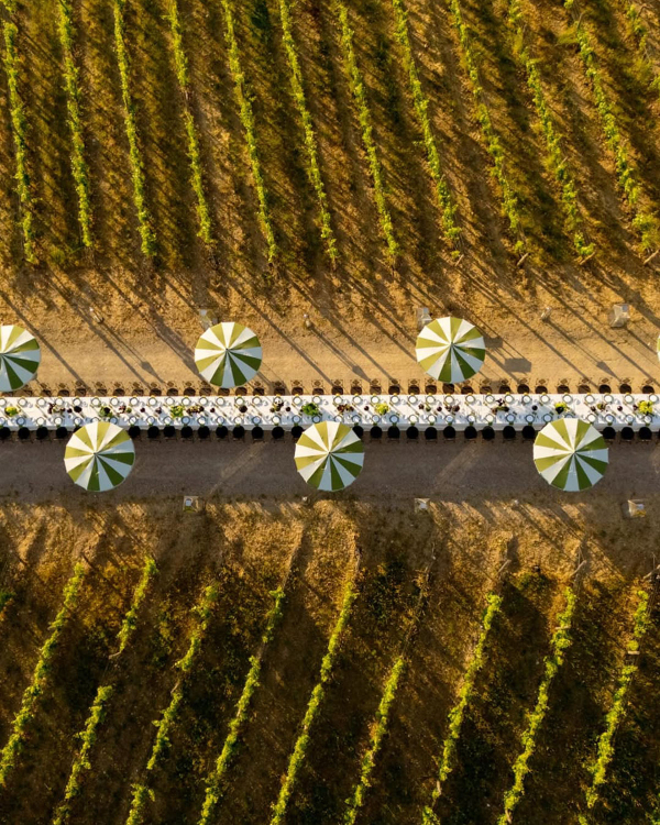 9 Major Wedding Venue Trends for 2026