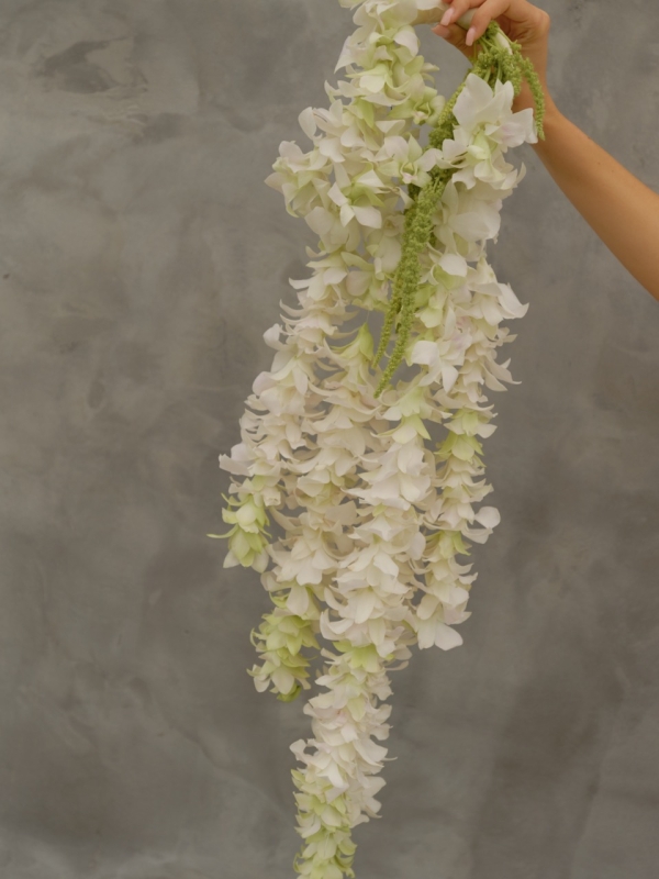 Stylists Studio Monfleur