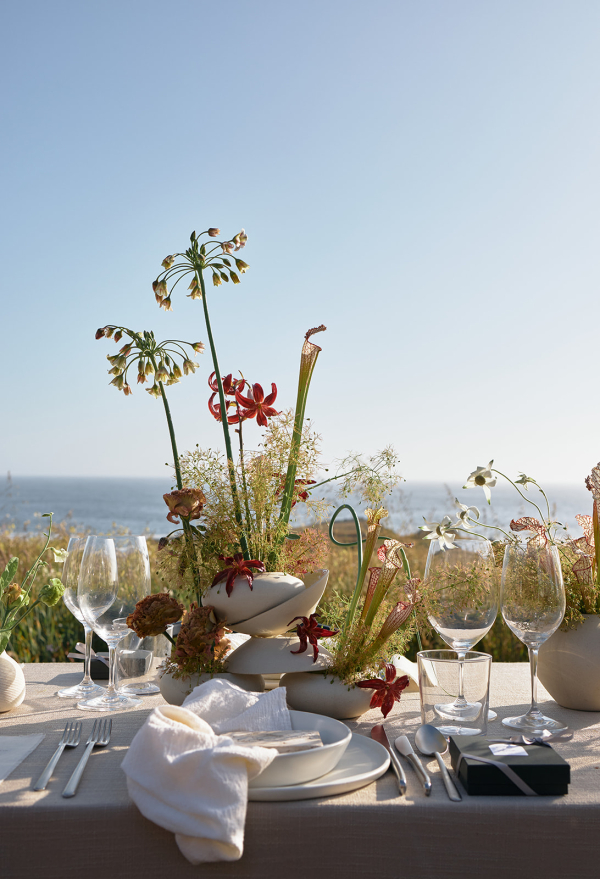 Photographers Calenrose