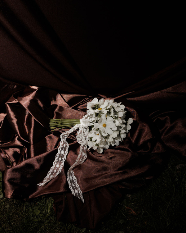 Of Roots and Feathers