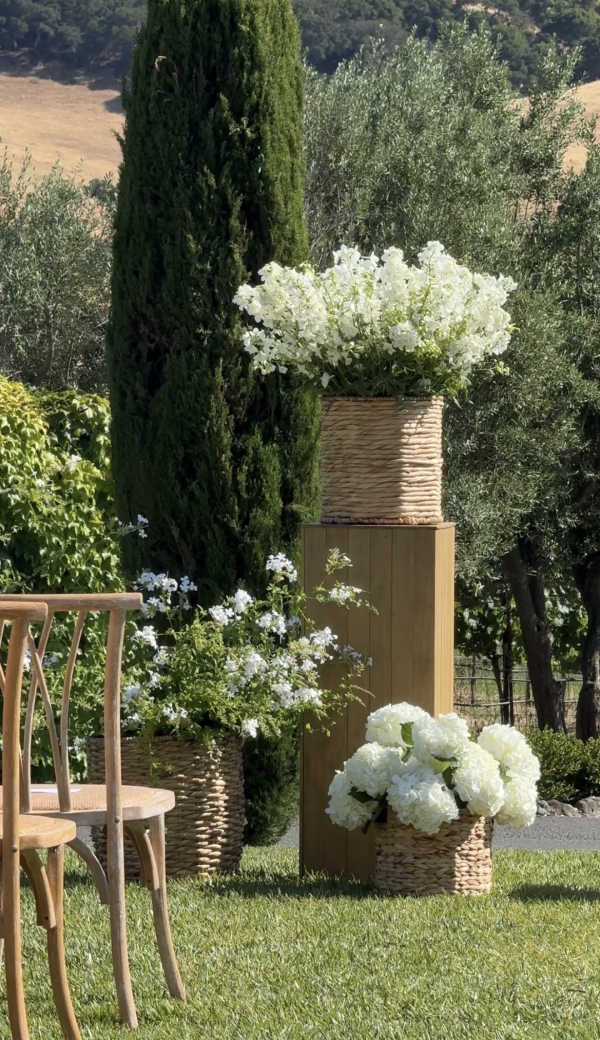 Content Creators Ce Jour Creations